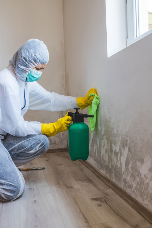 Water and Mold Remediation