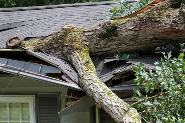 Storm Remediation in Granbury