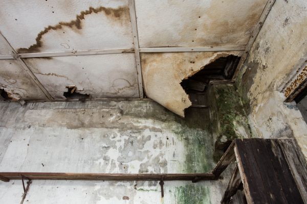 Water Damage Service in Granbury