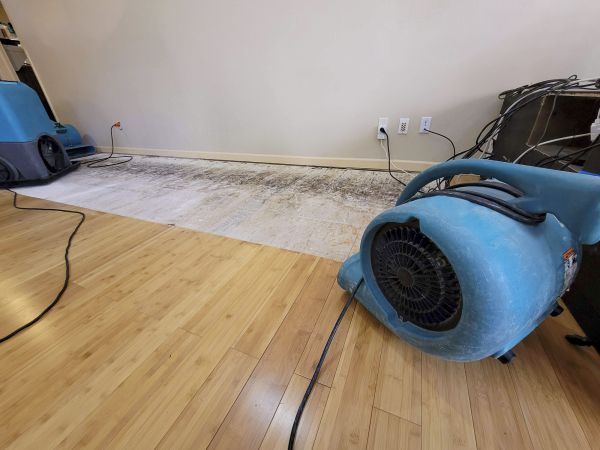 Water Damage Mitigation in Granbury