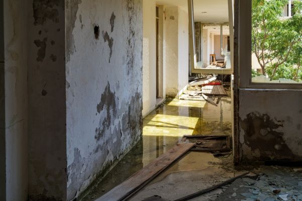 Water Removal Service in Granbury