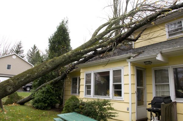 Hurricane Damage Repair in Granbury